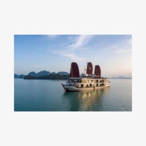 Orchid Trendy Cruises 2Days/1 Night 5 Star Cruises